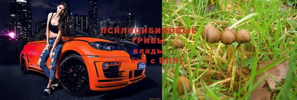 Альфа ПВП Лабытнанги