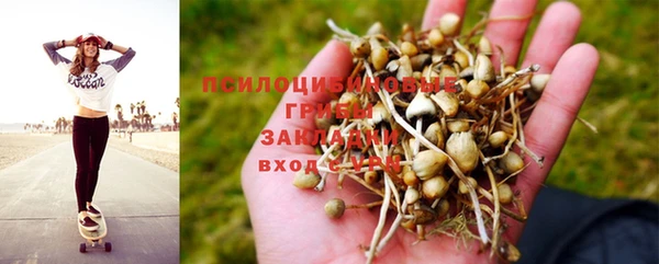 ешки Семикаракорск