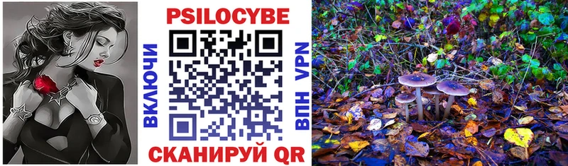 Псилоцибиновые грибы MAGIC MUSHROOMS  Туран 